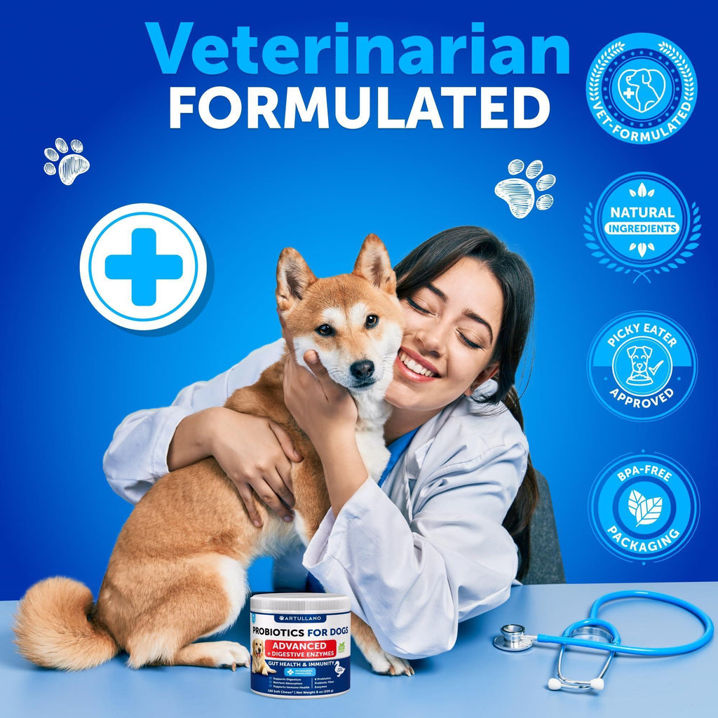 2 Pack Probiotics for Dogs 240 Soft Treats Chews for Gut Health Itchy Skin Allergies Immunity Yeast Balance 6 Dog Probiotics Digestive Enzymes with Prebiotic Fiber Reduce Diarrhea Gas