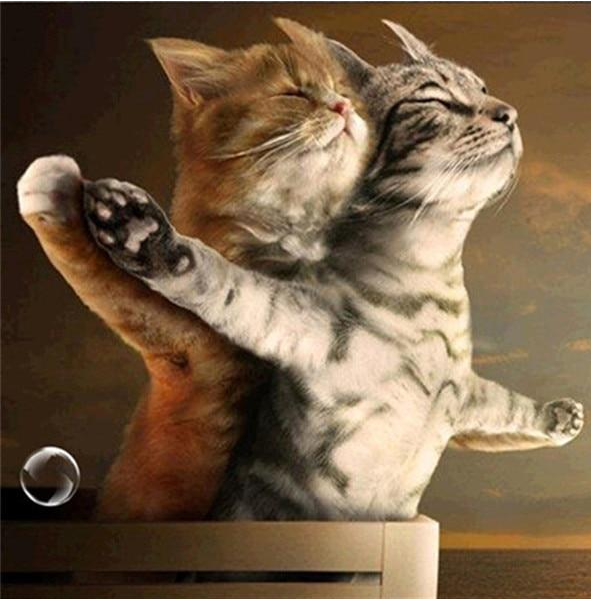 Diamond Painting of Cats