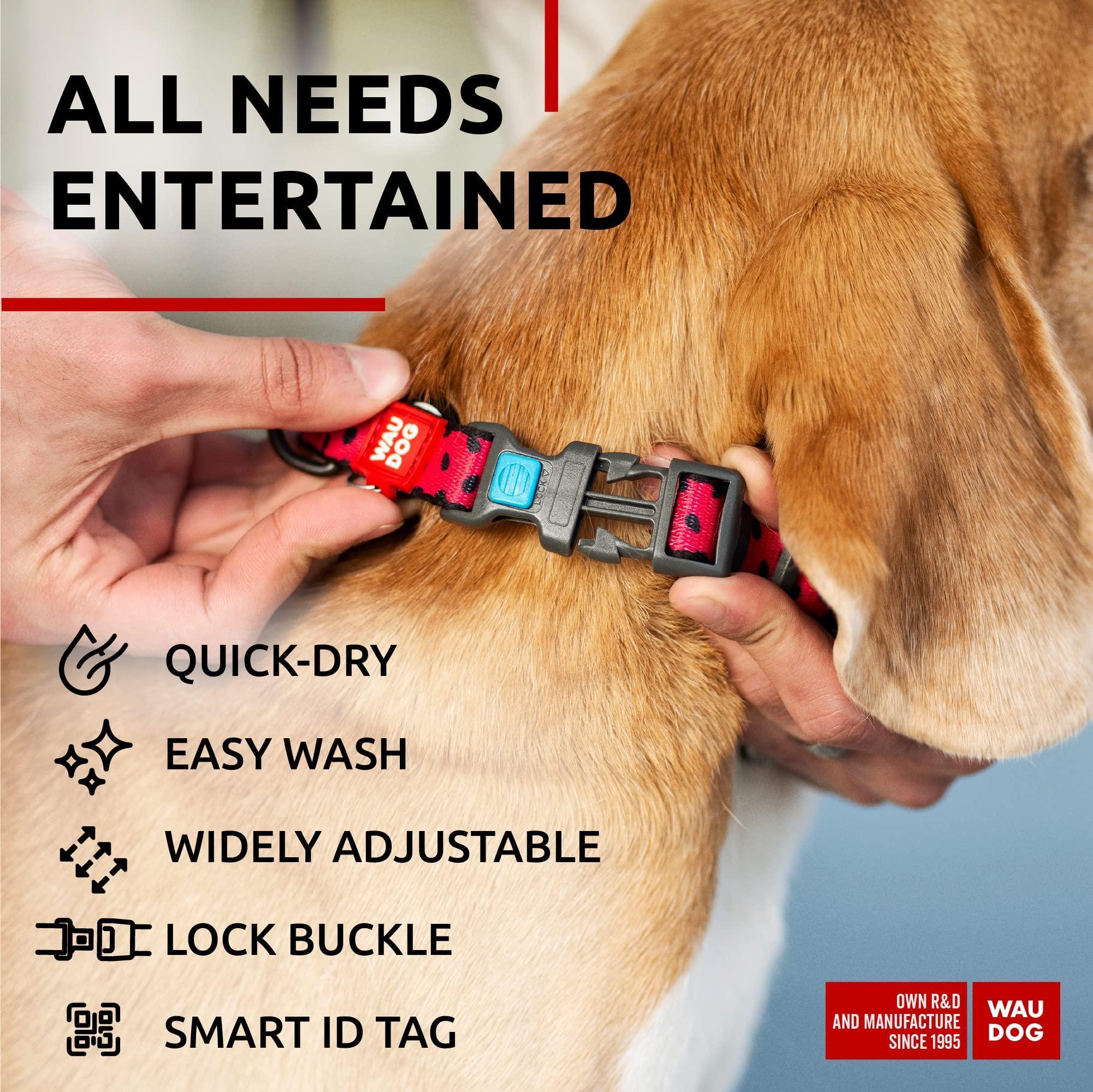 Nylon Dog Collar Size 14  23 in Neck  x 1 in Wide Adjustable Dog Collar for