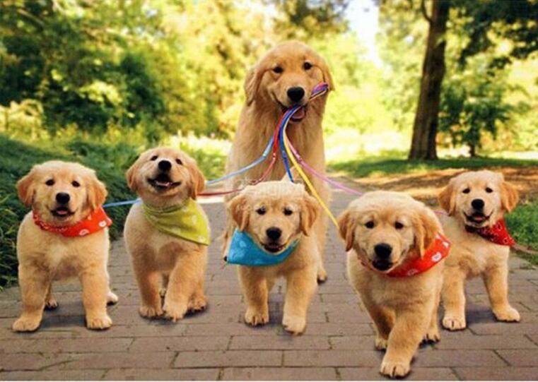 Dog Mother with Five Puppies Diamond Painting Decor